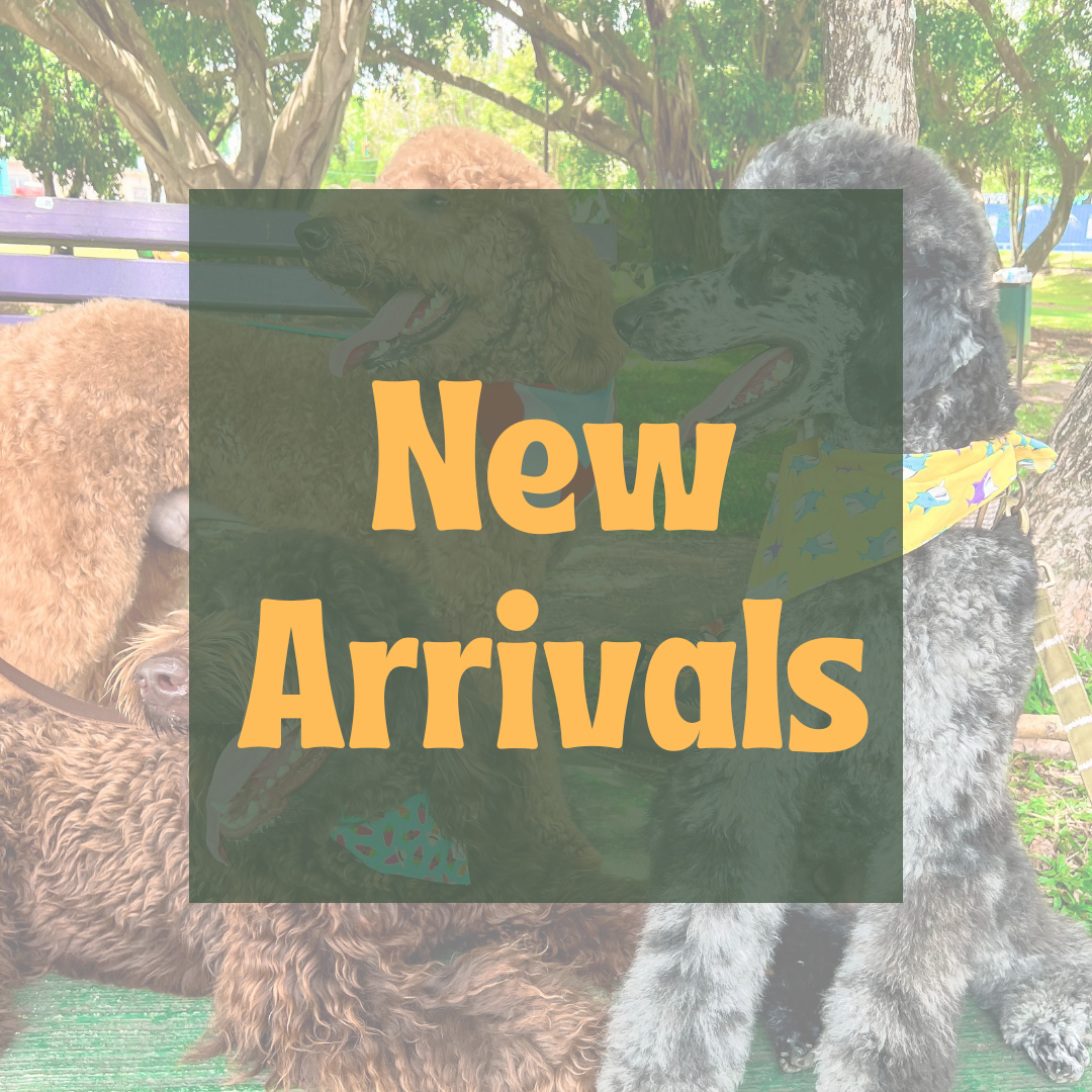 NEW ARRIVALS