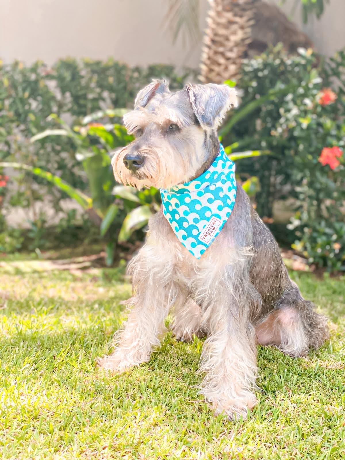 BANDANAS