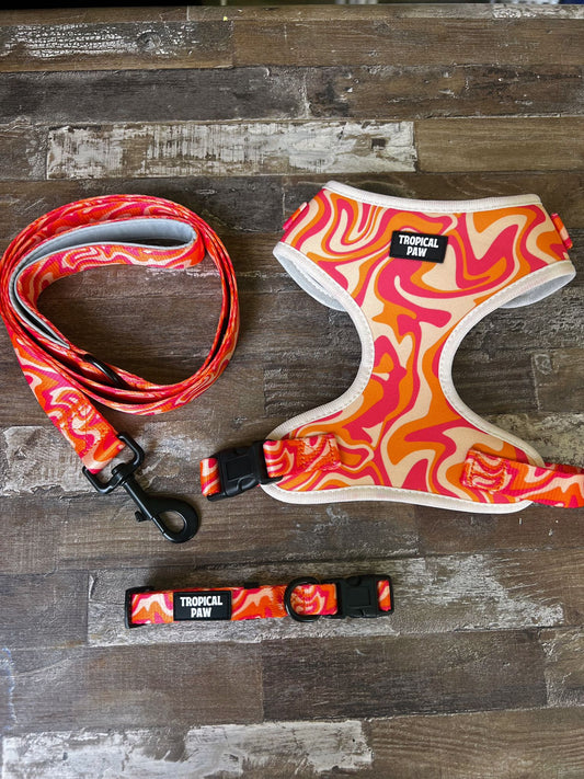 Coral Currents Bundle