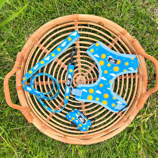 Suns & Clouds Bundle