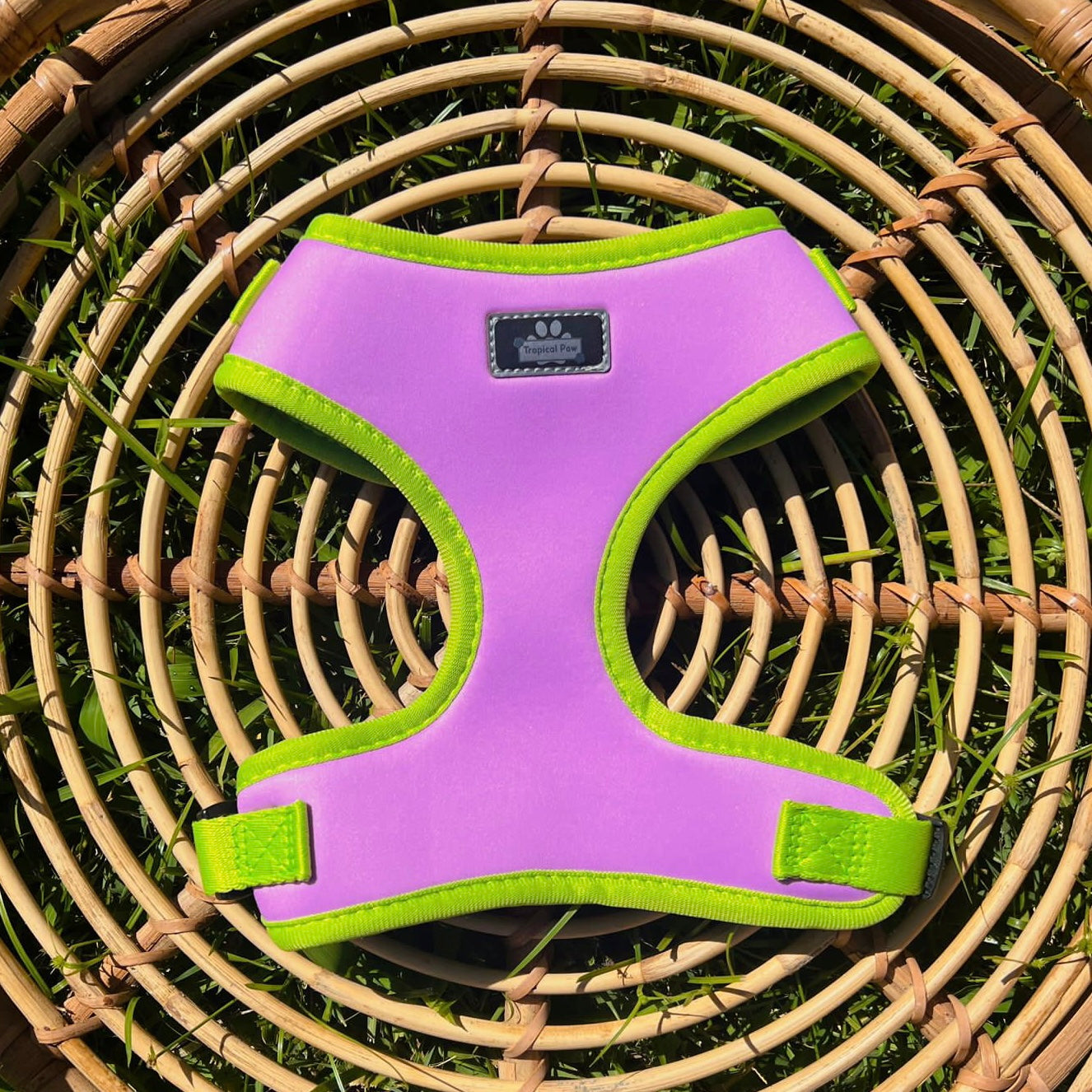 Lavanda Harness